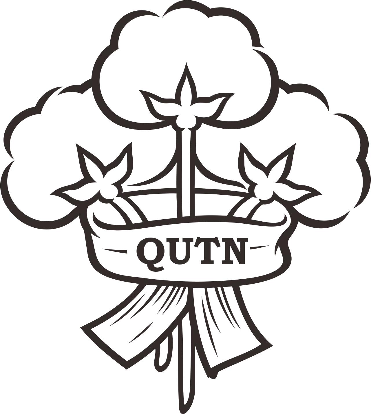 The Qutn